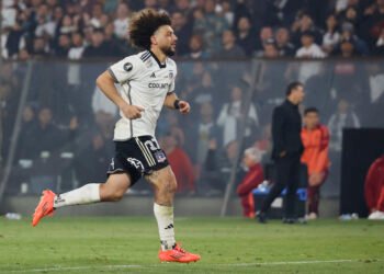 Aseguran que Maximiliano Falcón es uno de los responsables del horrible año de Colo Colo