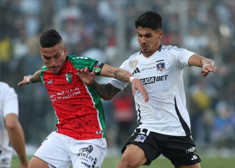 palestino