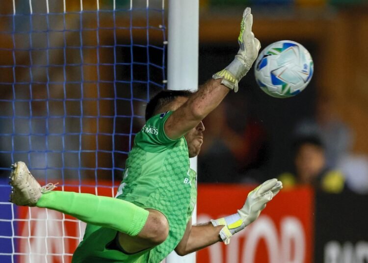 Revelan al principal candidato para ser el nuevo arquero de Colo Colo