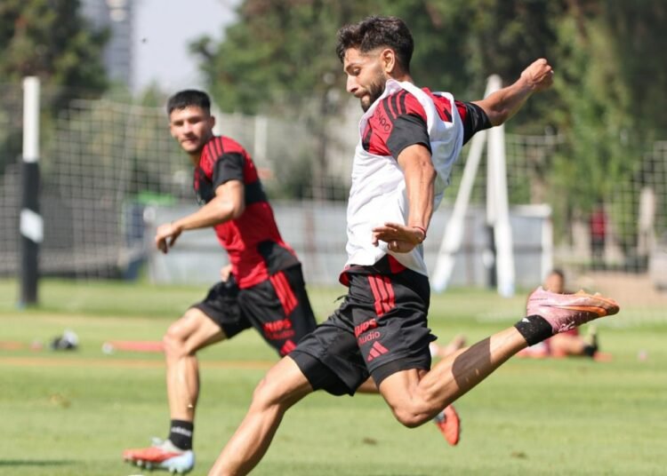 Fernando Ortiz Sorprende con Cuatro Cambios en la Alineación de Colo Colo para Recibir a Everton
