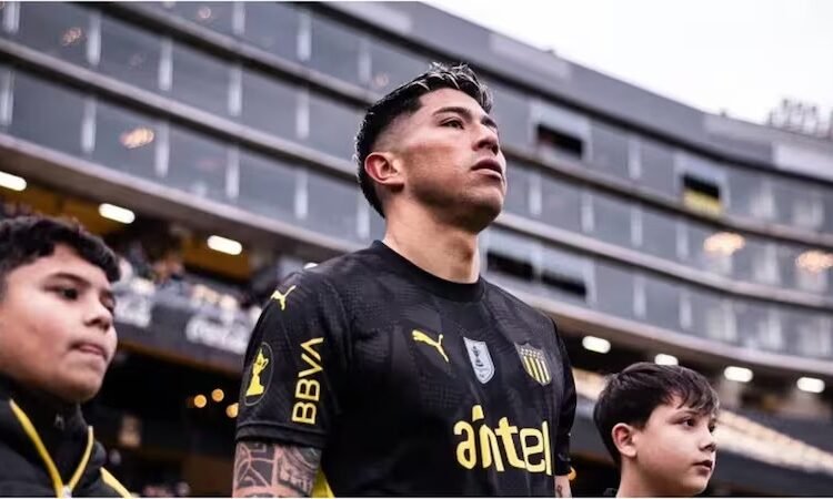 ¿Vuelve? La gran noticia que Brayan Cortés podría darle a Colo Colo